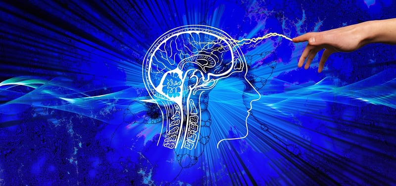 Brain Puzzle